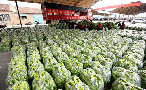 我是湖南長(zhǎng)沙蔬菜批發(fā)市場(chǎng)，買多少錢的農(nóng)藥殘留檢測(cè)儀合適？