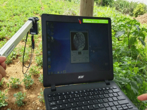 植物冠層圖像分析儀可以測量什么？