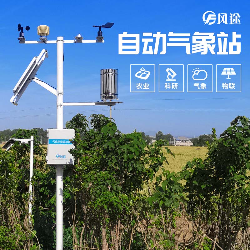 小麥穗期病蟲(chóng)害如何監(jiān)測(cè)？